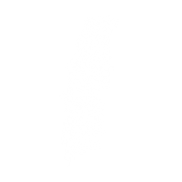 原创婚纱头纱设计图 模特摄影后期素材 PNG透明背景资源